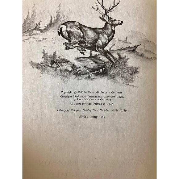 Vintage 1966, Album of North American Animals, Illustrated by Clark Bronson - Picture 3 of 7